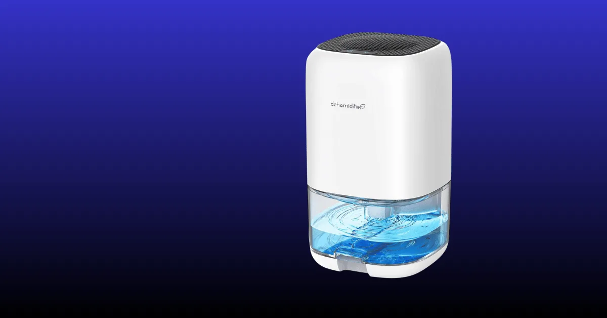 How to Choose the Right Whole House Dehumidifier